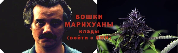 хмурый Гусев