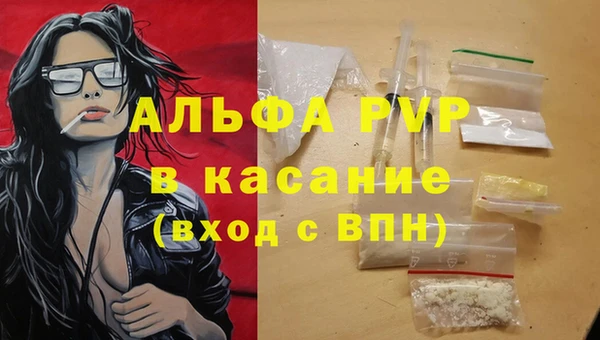 хмурый Гусев